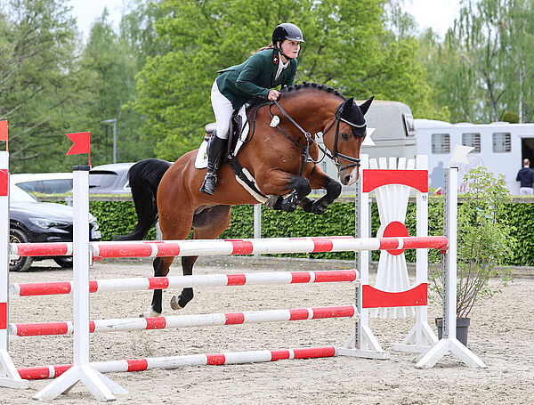 Pferd und Reiter am Sprung