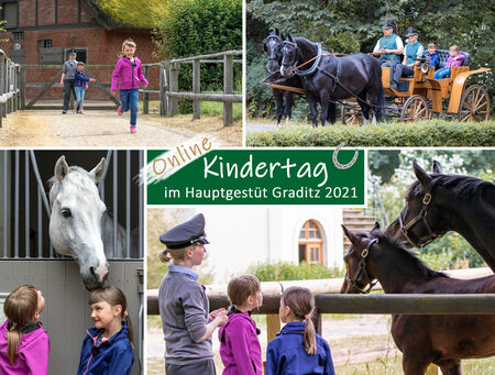 Kindertag im Hauptgestüt Graditz