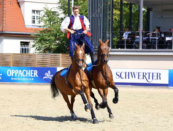 Moritzburger Hengstparade 2025