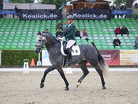 Sieg für VESUV in der Reitpferdeprüfung, EARL GREY auf Rang 2 - zum Beitrag