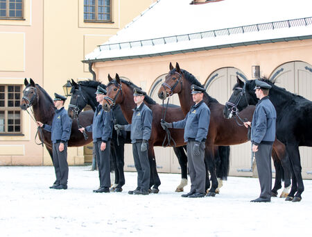 Hengstpräsentation Moritzburg