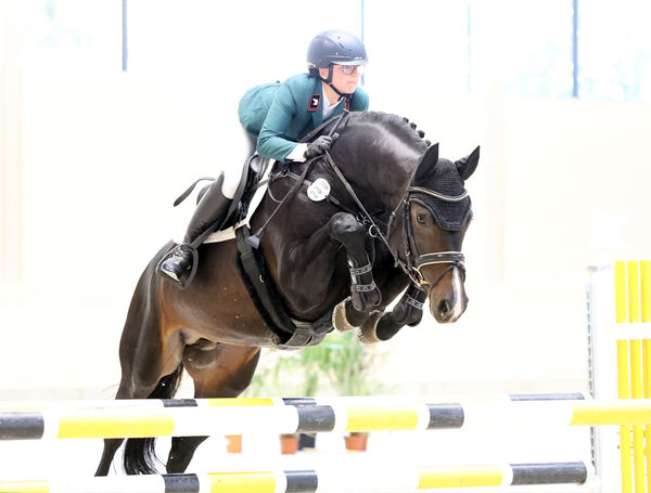 Jungpferdetag Reithalle Moritzburg