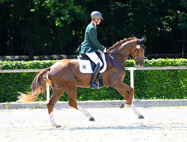 ein Reiter auf einem fuchsfarbenen Pferd im Galopp