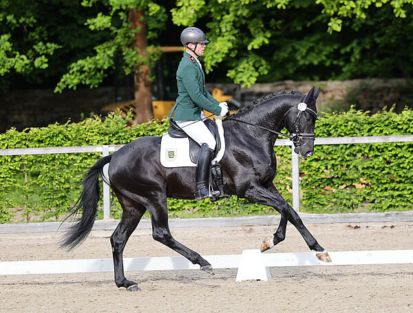 Reiter und Pferd im Galopp