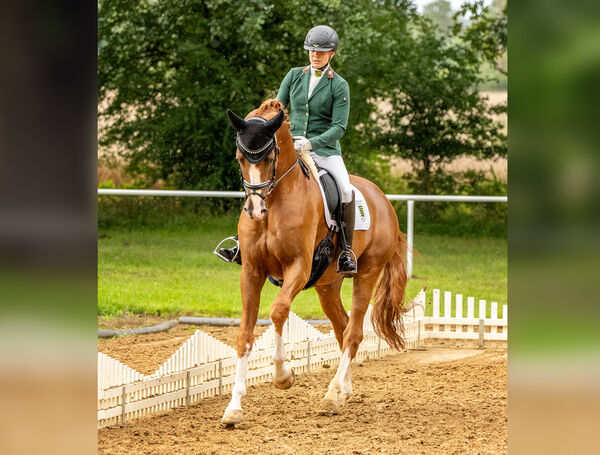 Zoomaton und Susann Göbel in Zobbenitz