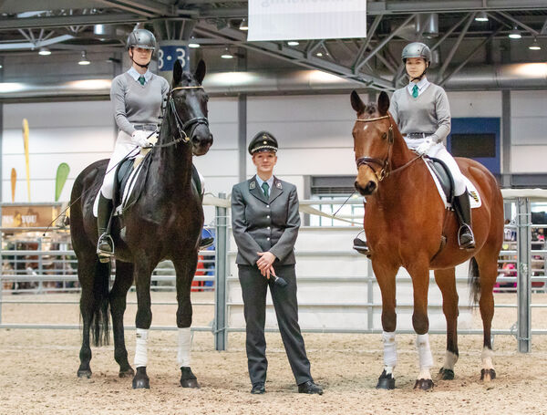  Aktionsring der PARTNER PFERD