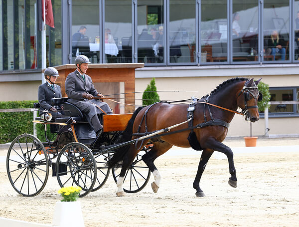 Bundeschampionat Moritzburg 2025