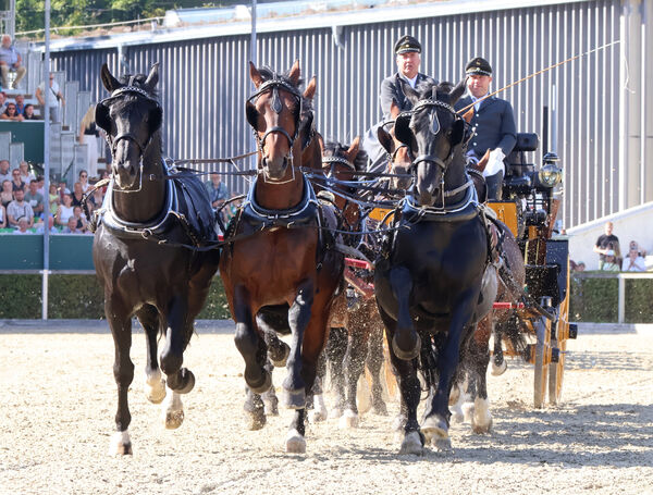 Dritte Hengstparade 2025