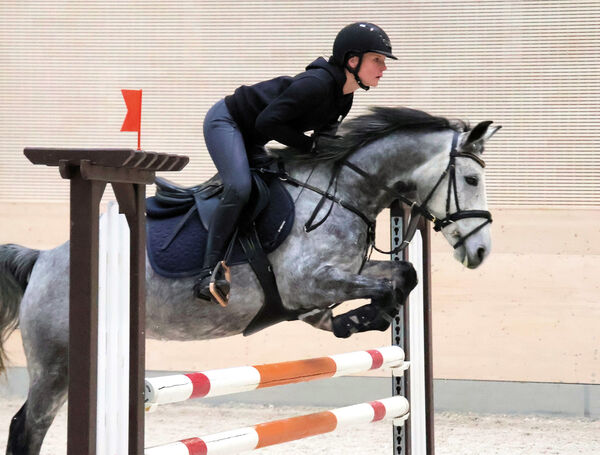 Freies Training Parcoursspringen 