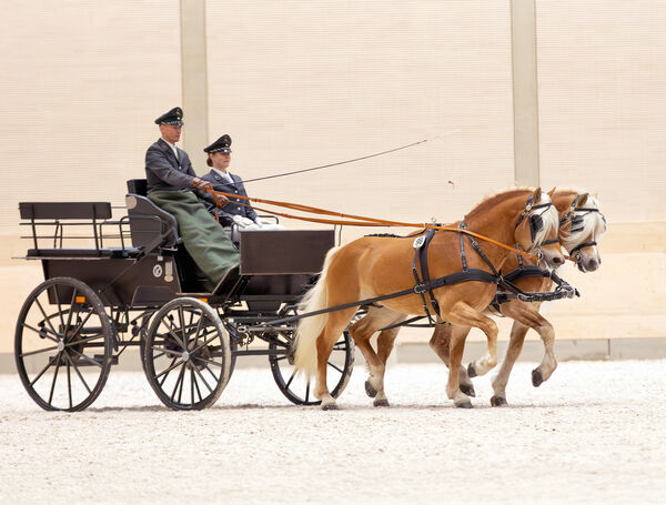 Winterprinz und Studienrat vor dem Wagen