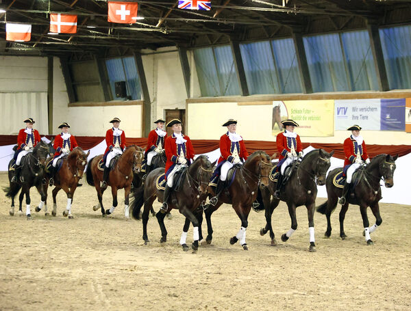 Hengste im Advent im Landgestüt Moritzburg