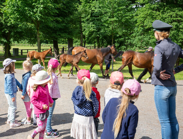 Kindertag 2022 im Hauptgestüt Graditz