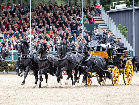 Zweite Moritzburger Hengstparade vor ausverkauften Tribünen - zum Beitrag