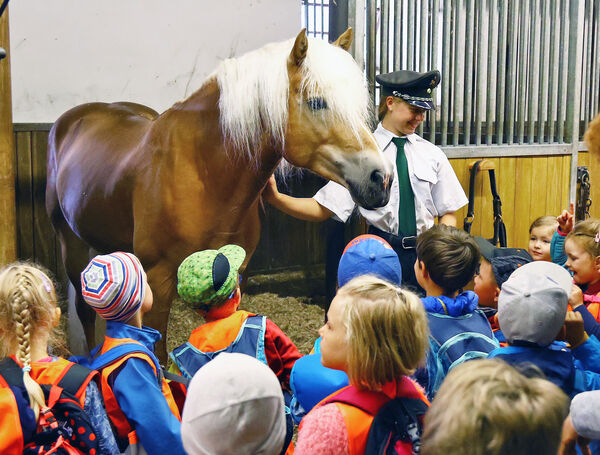 Führungen Kinder Landgestüt Moritzburg