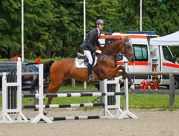 Das Bild zeigt einen Reiter auf einem braunen Pferd am Sprung