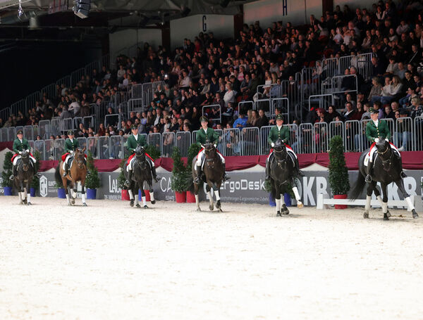 Stunde der Hengste Chemnitzer Messe