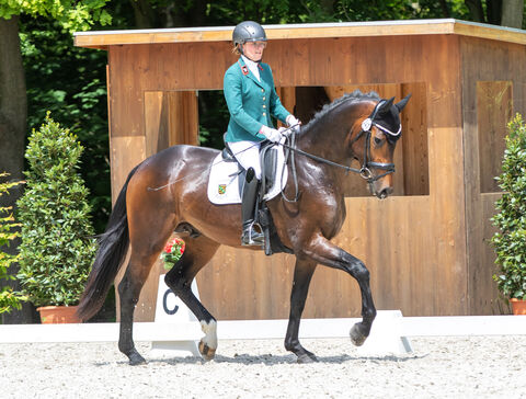 IL Silenzio im Landgestüt Moritzburg