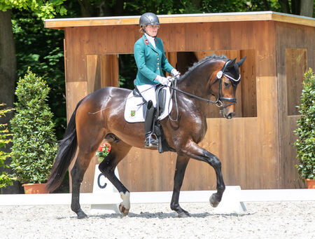 IL Silenzio im Landgestüt Moritzburg