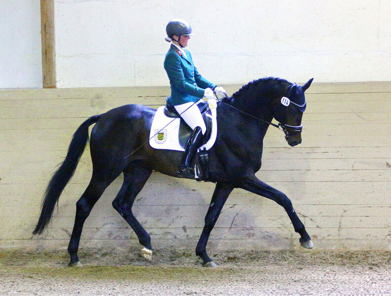 FEINER FÜRST und FREIHERR VON STEIN erneut siegreich SGV Sächsische