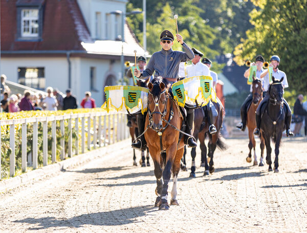 Generalproben Hengstparaden Moritzburg