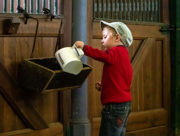 Kindertag 2022 im Hauptgestüt Graditz