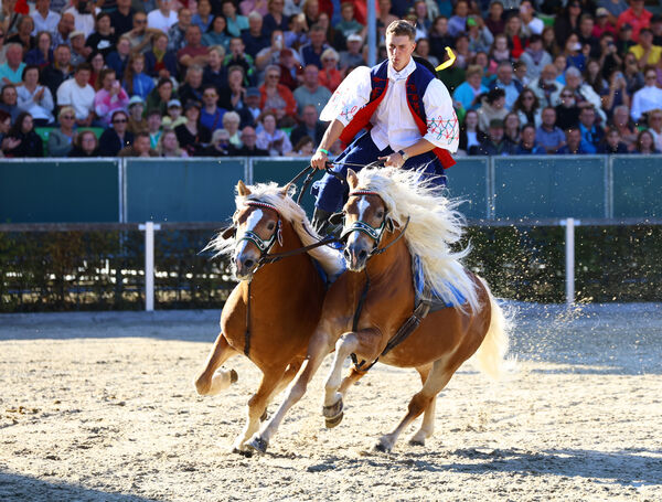 Dritte Moritzburger Hengstparade 2024