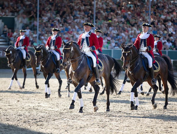 Dritte Hengstparade 2025