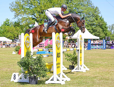 Reiter und Pferd am Sprung