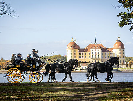 Sächsisch-Thüringische Pferde für die Royal Cavalry - zum Beitrag