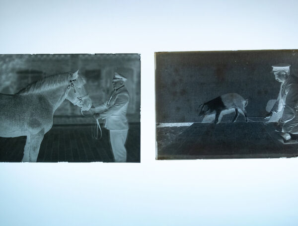 200 Jahre Julius Kühn