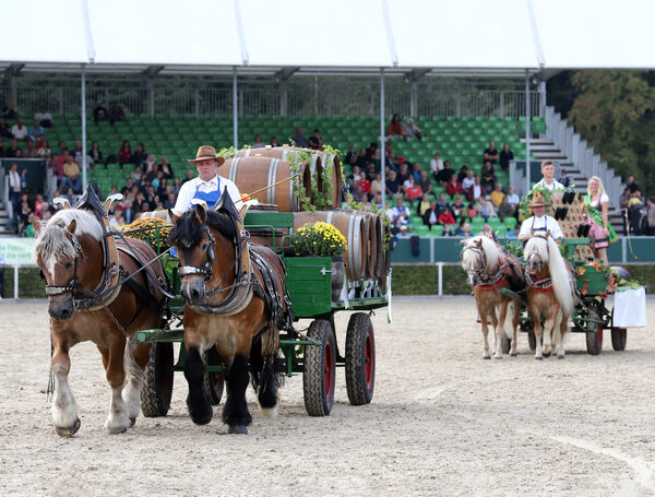 Erste Moritzburger Hengstparade 2021