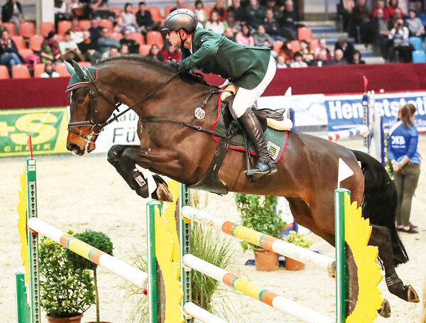 Landbeschäler LAHNSTEIN v. Levistano