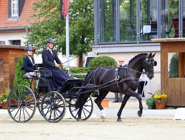 Bundeschampionat Moritzburg
