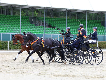 TITO DE SAXE wird Bundeschampion, Silber für CENTURIO - to the article