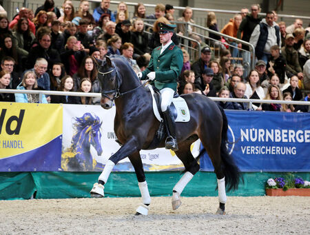 Hengstpräsentation zur 25. Reiten-Jagen-Fischen - zum Beitrag