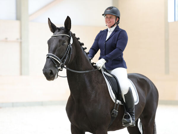 Verkaufspferdetag Moritzburg