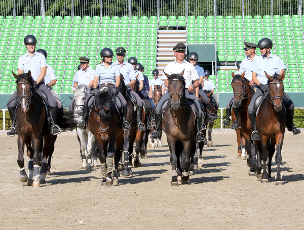 Training für die Moritzburger Hengstparaden