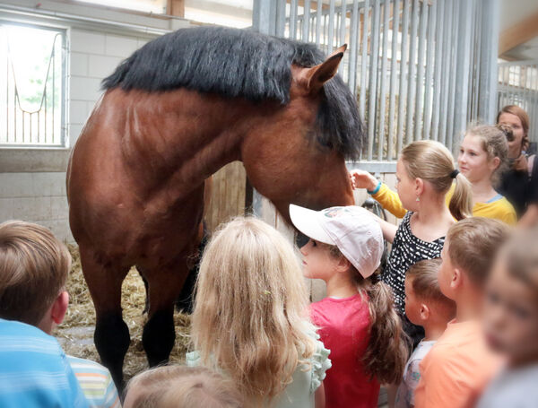 Nachmittag für Moritzburger im Landgestüt