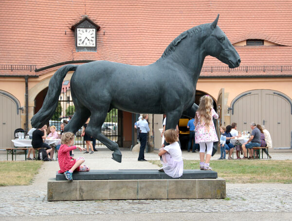 Nachmittag für Moritzburger im Landgestüt