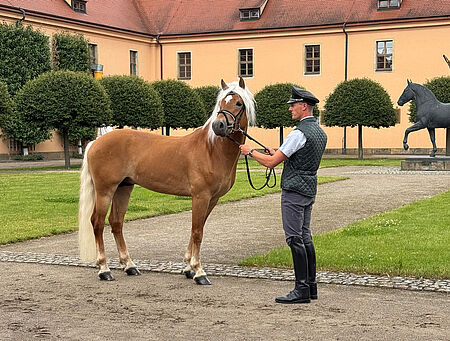 Studierende der Universität Halle zu Gast in Moritzburg - zum Beitrag