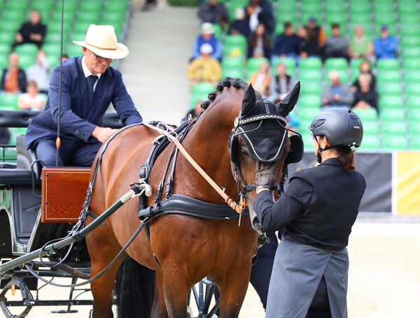 Moritzburger Championatstage 2025