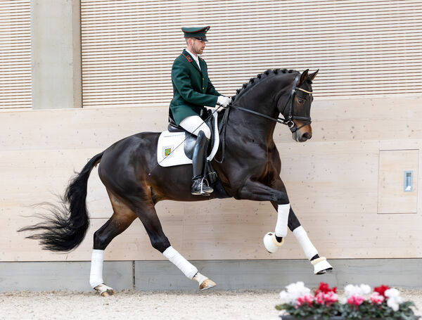 INDIAN SUMMER mit GW'n Richard Jordan im Galopp