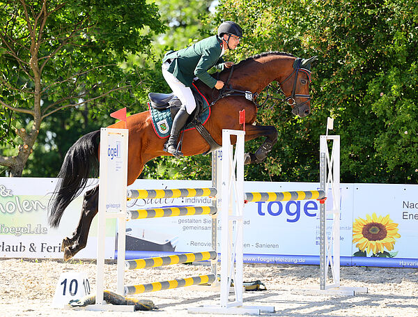 Reiter und Pferd am Sprung