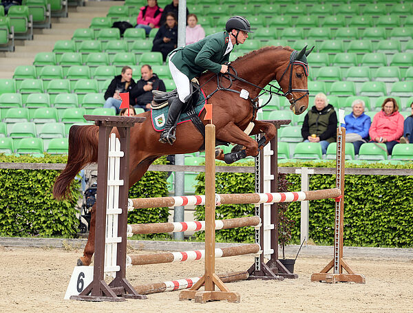 Pferd und Reiter am Sprung