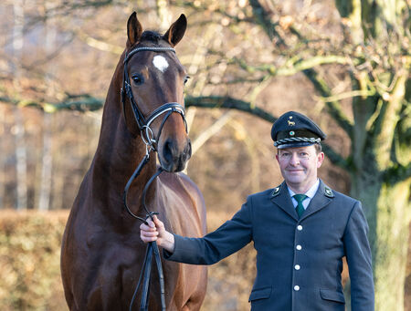 Hengstpräsentationen am 14. und 15. Februar - zum Beitrag