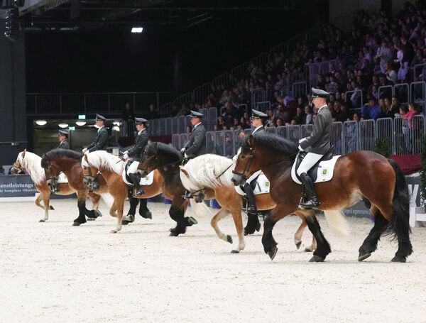 Stunde der Hengste Chemnitzer Messe