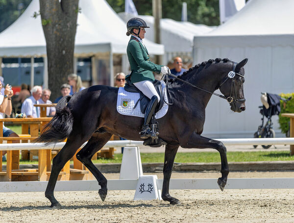 Kensington Palace zum Trakehner Bundesturnier