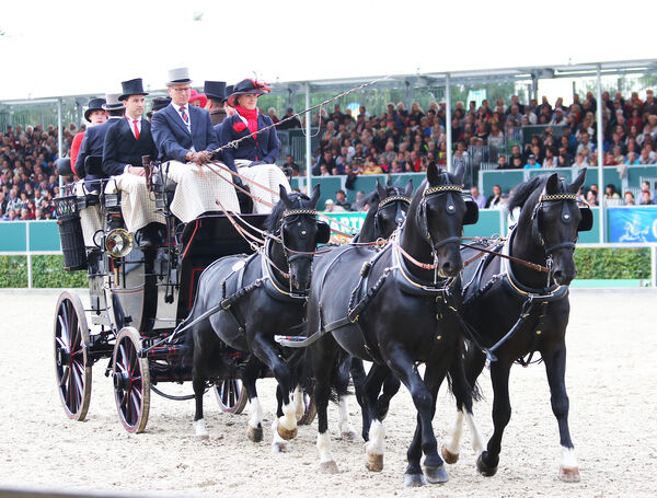 historische Kutschen zu den Moritzburger Hengstparaden - Park Coach Foto: Brit Placzek
