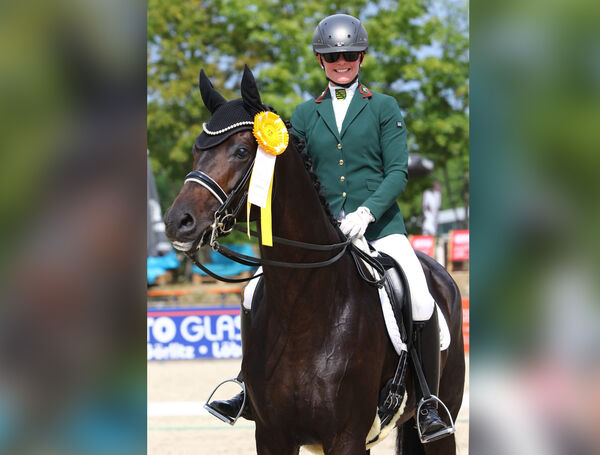Landgestüt Moritzburg Trakehner Turnier