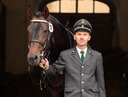 Zuchtberatung 2026 im ehemaligen Deckstellenbereich Nossen - zum Beitrag